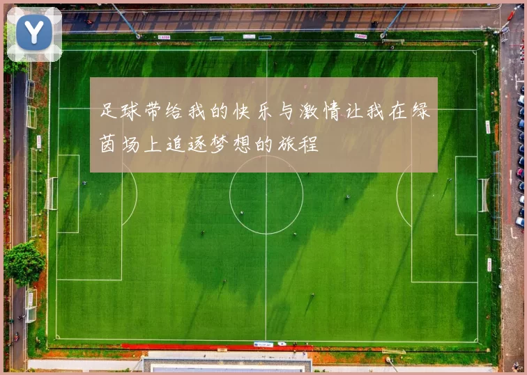 足球带给我的快乐与激情让我在绿茵场上追逐梦想的旅程